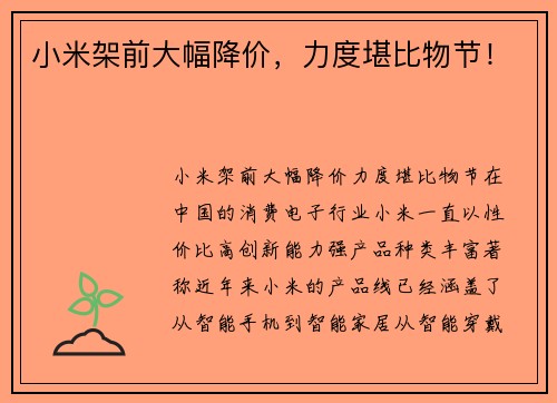 小米架前大幅降价，力度堪比物节！