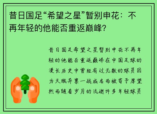 昔日国足“希望之星”暂别申花：不再年轻的他能否重返巅峰？