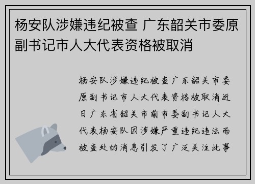 杨安队涉嫌违纪被查 广东韶关市委原副书记市人大代表资格被取消